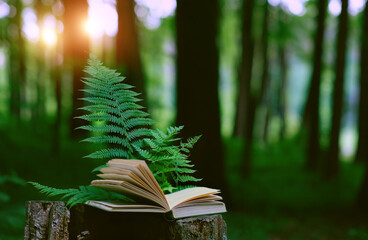 Book with fern leaves on stump in forest, natural blurred background. witchcraft magic old book in mystery atmosphere. leisure reading , pure wild nature, environment concept. template for design