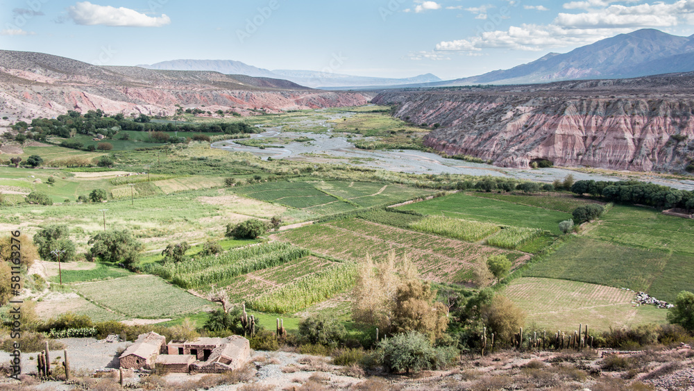 Naklejka premium Paisaje de Salta la linda