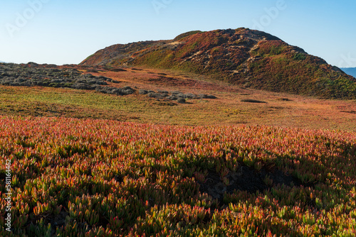 Hill and Brush at Fort Ord in Monterey California on a Sunny day