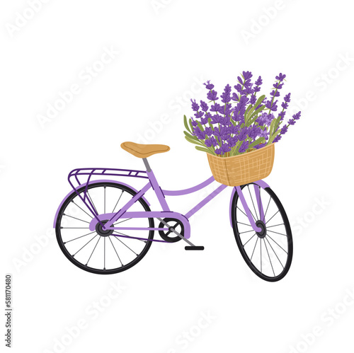 Bicycle with lavender flowers isolated greetings card design element. Vector spring bike with lilac bouquet, french transport with floral basket