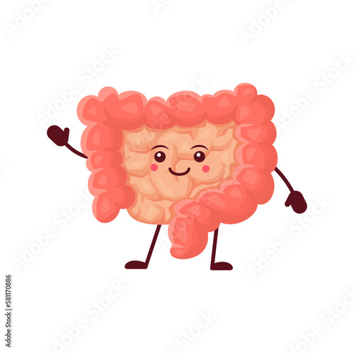 Cartoon gut human body organ character. Vector healthy and happy gastrointestinal system anatomical personage waving hand. Cheerful intestine with healthy flora and cute smiling face