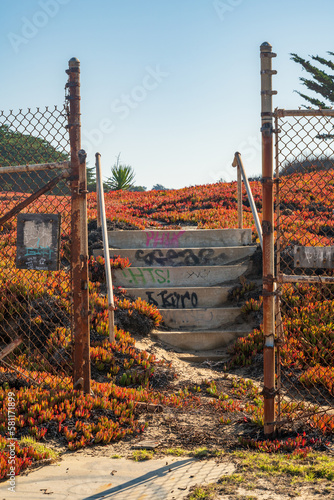 Trail at Fort Ord, Monterey Califoria, Summer photo