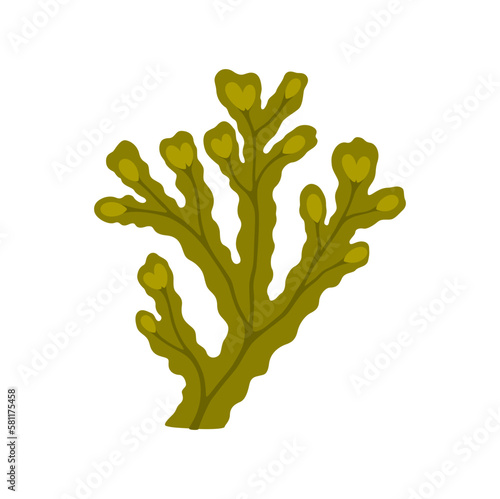 Cartoon green seaweed, branch of underwater aquarium plant, algae. Vector nautical fauna and coral reef object, ocean bottom fauna