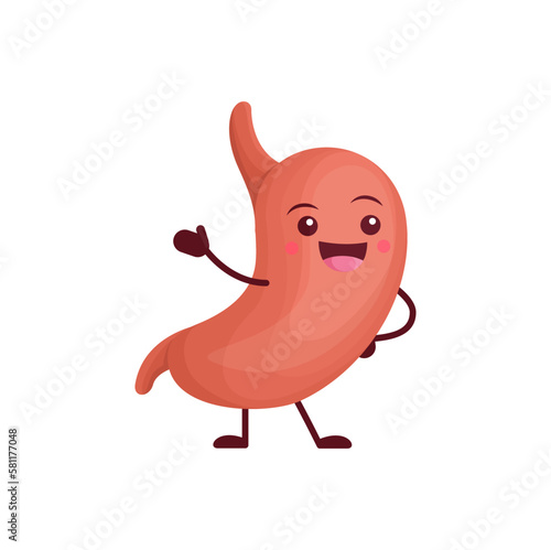 Cartoon stomach human body organ character. Vector healthy digestive system personage with happy smiling face. Anatomy, medicine for kids, abdomen health care and disease prevention