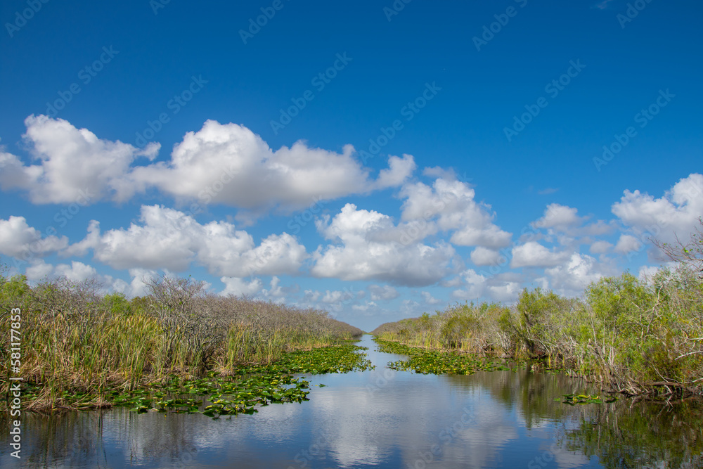 View of a small river inside Everglades park in Florida USA