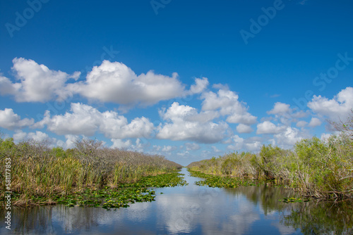 Fototapeta Naklejka Na Ścianę i Meble -  View of a small river inside Everglades park in Florida USA