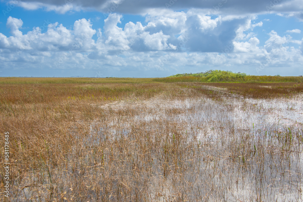 View of part of the Everglades park in Florida in the United States