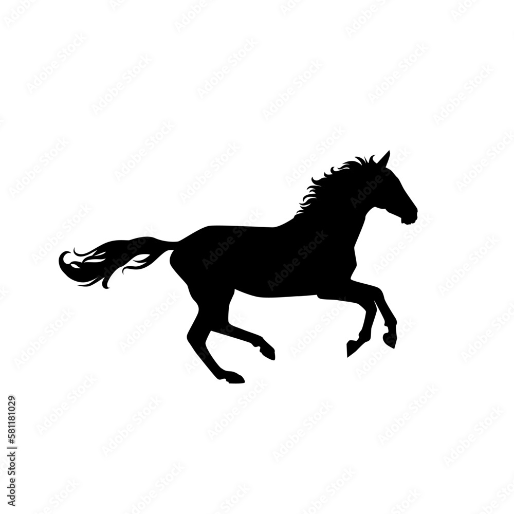 black horse running