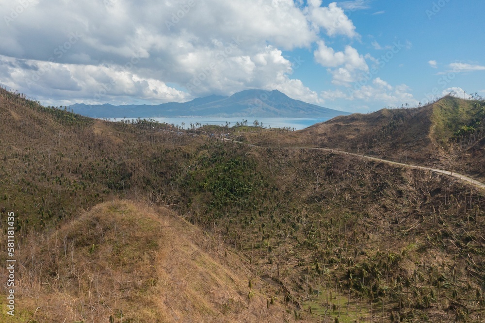 Bird's-eye view of felled forests on a hill