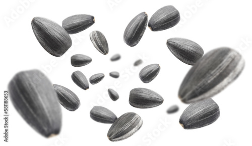 Flying sunflower black seeds cut out