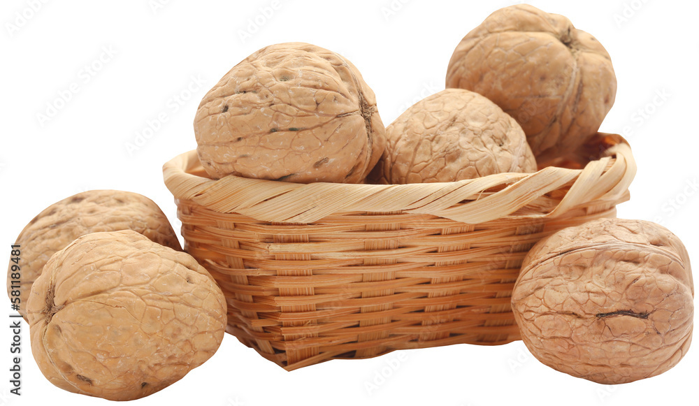 Walnut Walnut