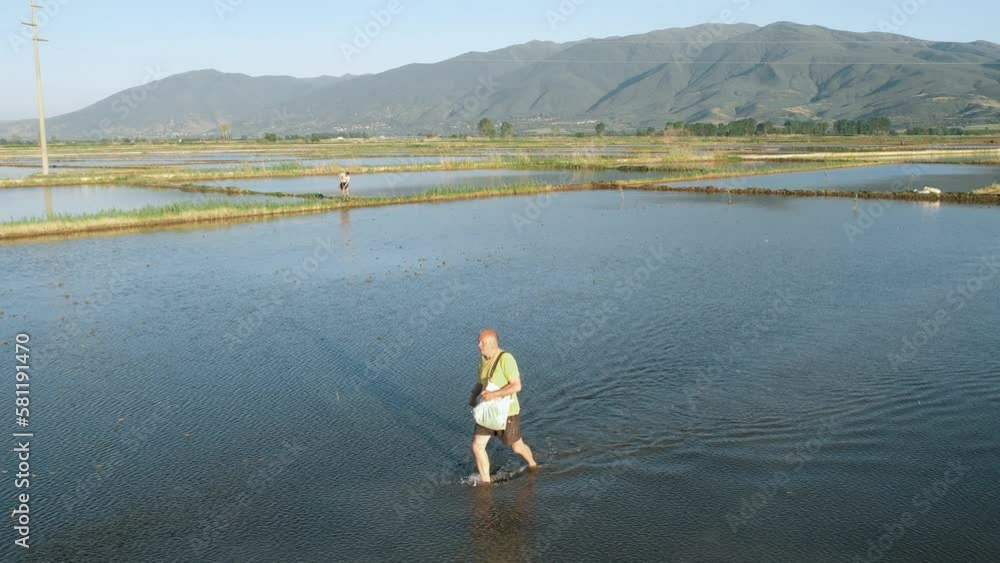 Aerial shot of farmer throwing, seeding rice seed for sow planting at a agricultural farm field, slow motion Aerial shot of farmer throwing, seeding rice seed for sow planting at a agricultural farm field, slow motion