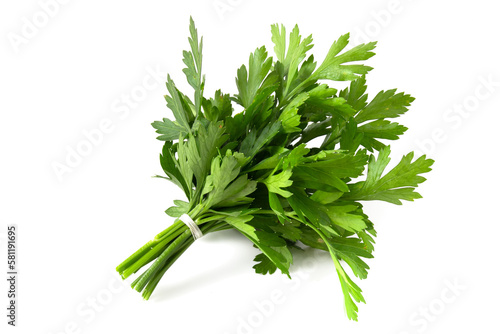 Bunch of fresh green parsley isolated on white background. photo