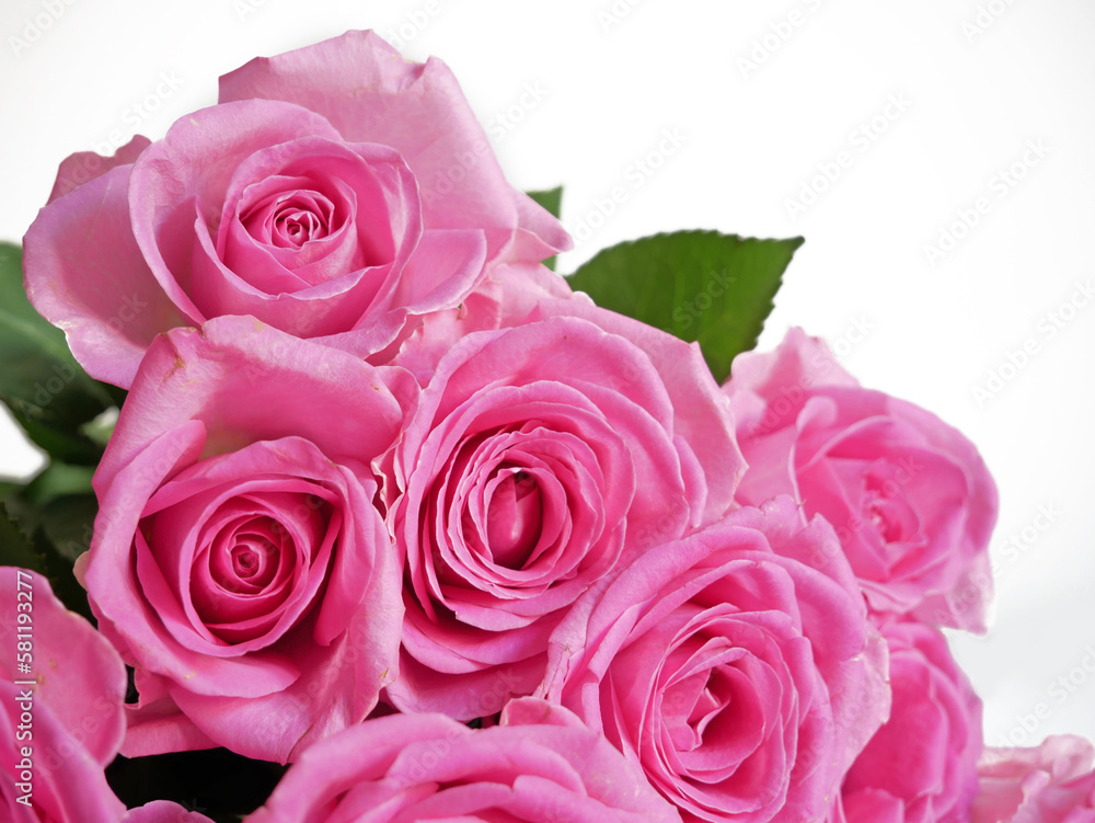 Pink rose flower bouquet isolated on white background Pink rose flower bouquet isolated on white background