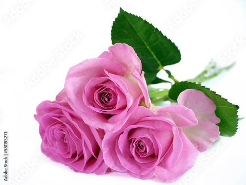 Pink rose flower bouquet isolated on white background