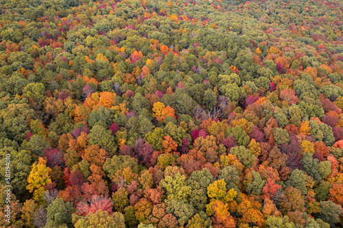 Bild auf Leinwand Aerial view of fall foliage trees in northwest Arkansas landscape during autumn