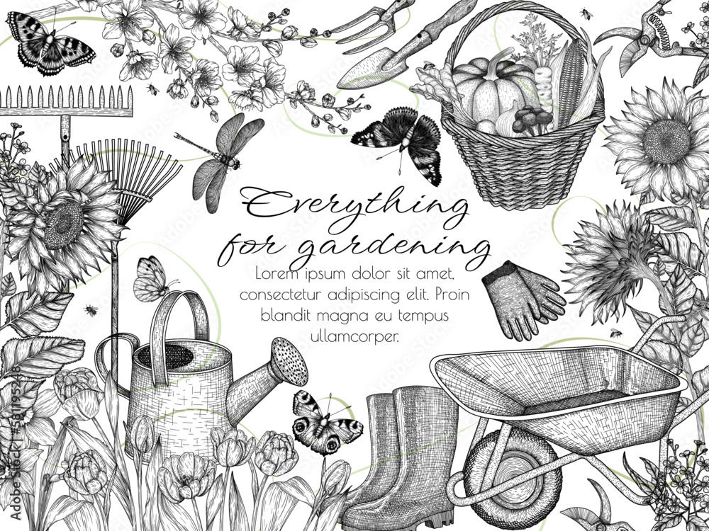 Vector illustration of horticulture. Watering can, garden rake and ...