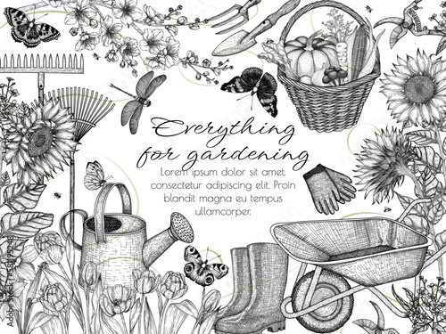 Vector illustration of horticulture. Watering can, garden rake and shovel, rubber boots, household gloves, wheelbarrow, secateurs, tulips, sunflowers, insects, butterflies, harvest, dragonfly