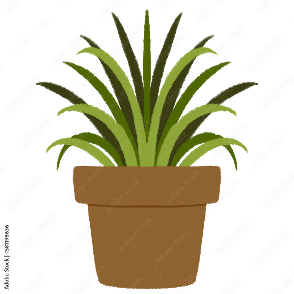 Plant in a pot. Houseplant illustration.