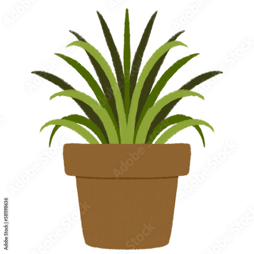 Plant in a pot. Houseplant illustration.