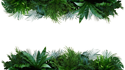 Green leaves of tropical plants bush (Monstera, palm, fern, rubber plant, pine, birds nest fern) foliage floral arrangement nature frame backdrop