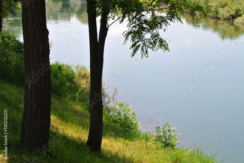 Fototapeta Naklejka Na Ścianę i Meble -  River bank, shore, riverside with trees and green blue water color, green grass coast, nature
