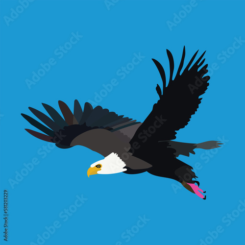 A Beautiful  Falcon is flying in the sky.
