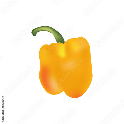 bell pepper (capsicum) vector illustration on a white background yellow capsicum bell pepper