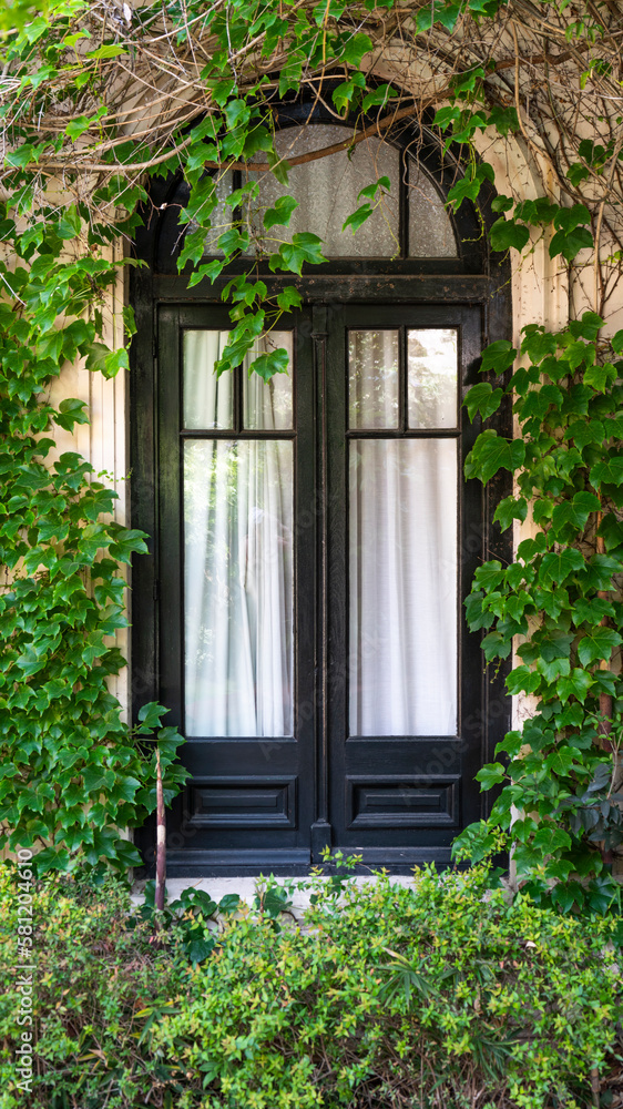 Black arch window surrounded by ivy vines and greenery at historic hotel in San Isidro, Buenos Aires, Argentina 