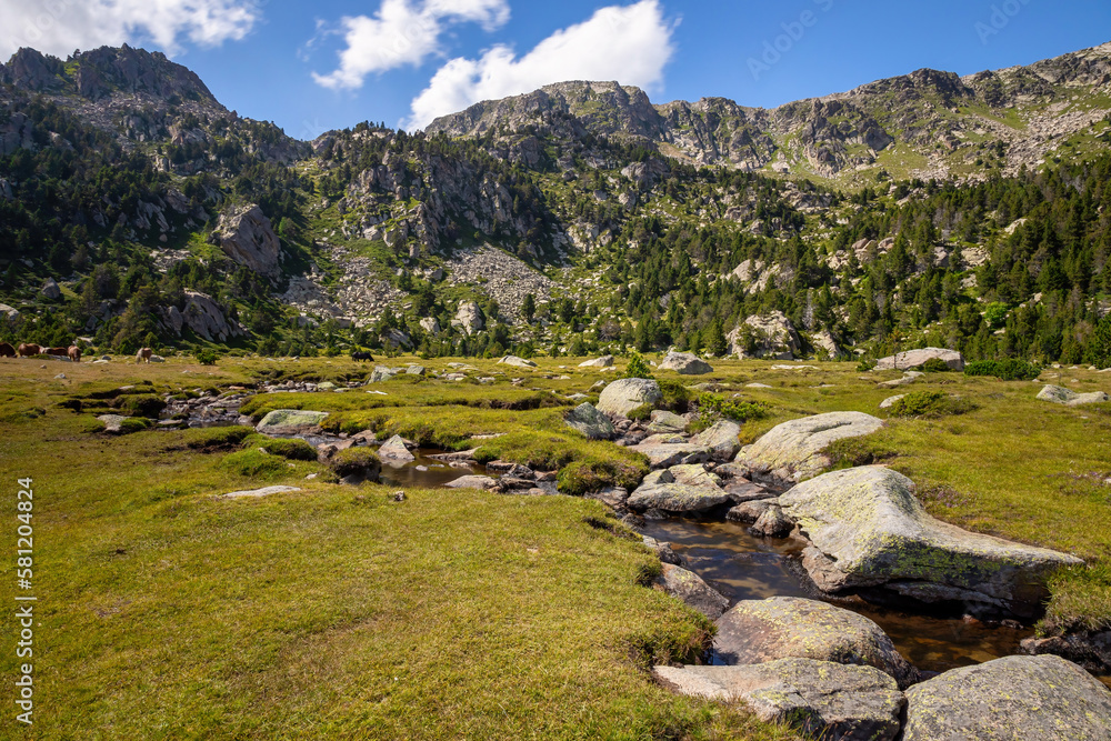 Small creek in La Cerdanya, Pyrenees mountain, Catalonia, Spain.