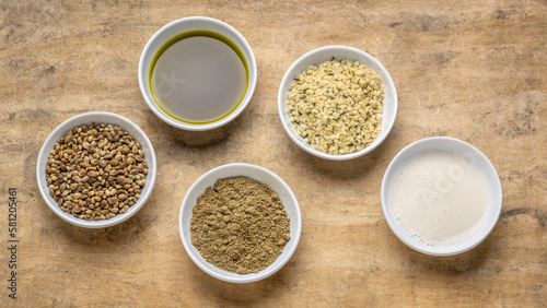 collection of hemp seed products: hearts, protein powder, milk and oil in small white bowls against textured bark paper, superfood concept