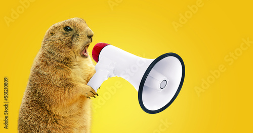 Funny gopher is holding a loudspeaker and screaming. Creative idea, management and business. The concept of advertising and attracting attention