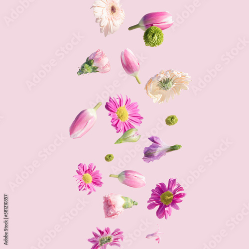 Beautiful spring flower on a pink background. Summer aesthetic nature flying concept.