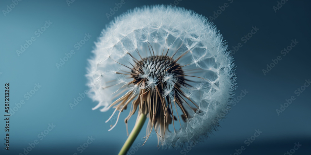 Beautiful close up of flower Beautiful close up of flower