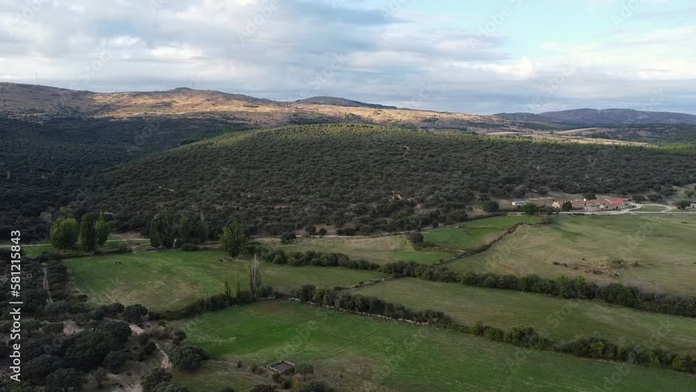 conjunto de arboles. nogales desde arriba. toma de dron sobre aroles en la motaña conjunto de arboles. nogales desde arriba. toma de dron sobre aroles en la motaña