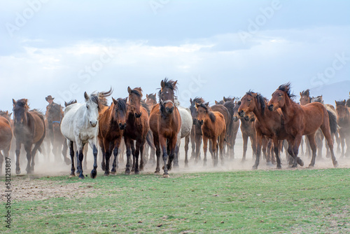 Wild horses (aka Yılkı Atları) are running to freedom. Taken near Hürmetci Village, between Cappadocia and Kayseri, Turkey.   © blackdiamond67