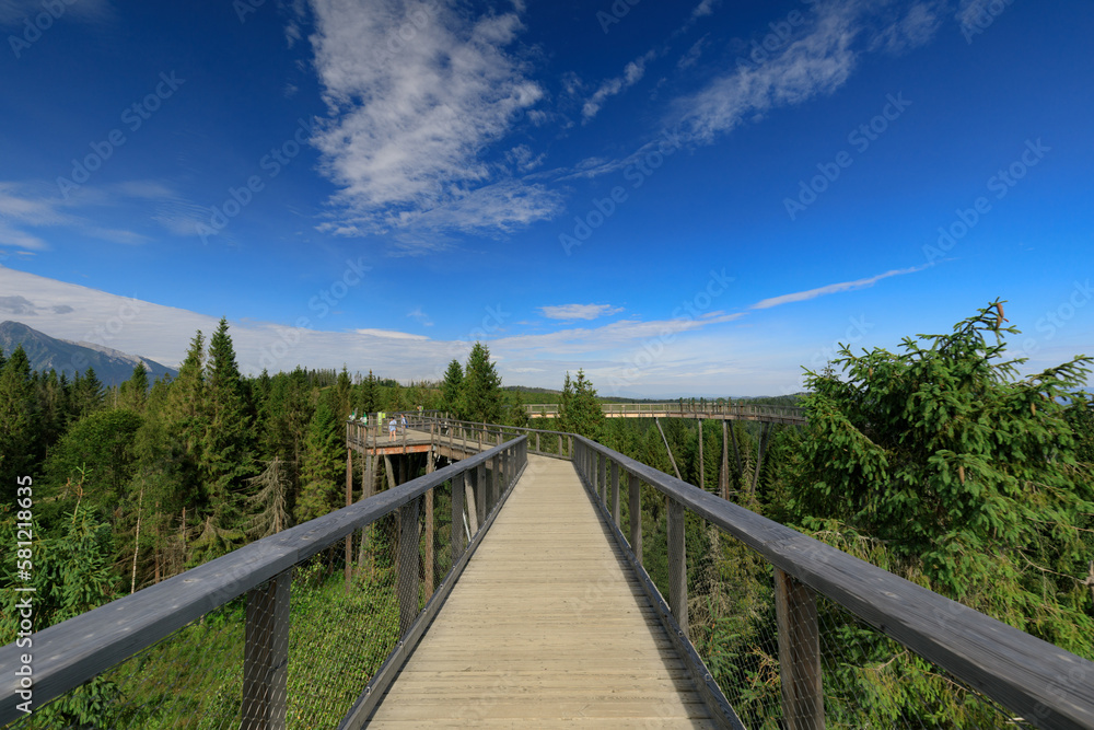 Wooden bridge over the trees in Bahledova Valley attraction in Slovakian Tatra Mountains