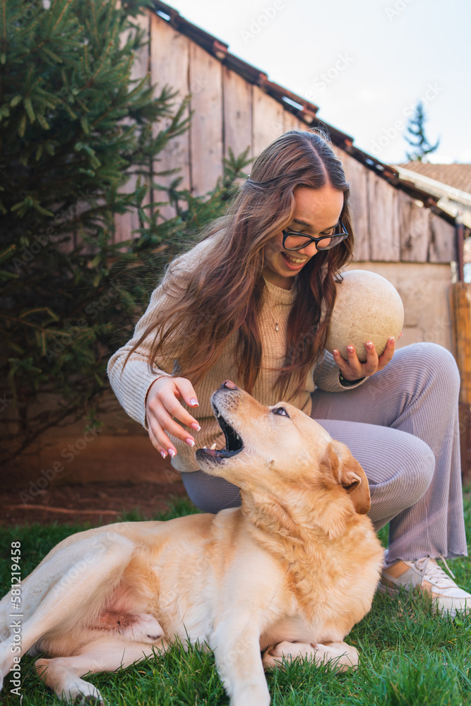 Obraz premium A young girl student is petting and feeding and playing with her pet dog labrador in backyard 