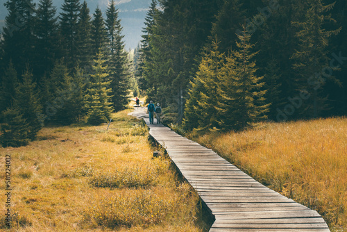 Fototapeta Naklejka Na Ścianę i Meble -  Wooden path in the woods - mountains - Poland - Karkonosze, Trailm Lower Silesian