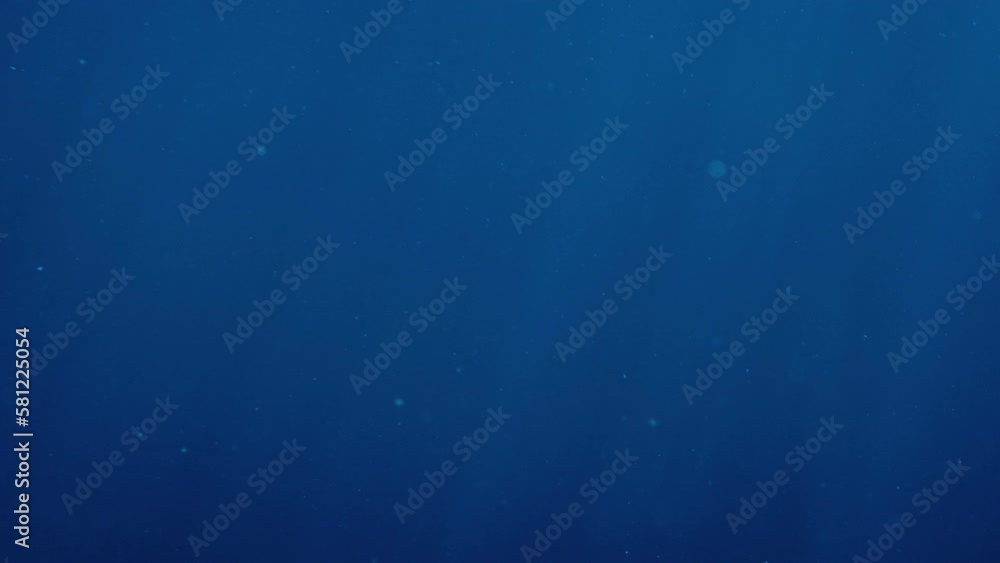 Dark Water With Particles Swirling Underwater Shot
Dark Water With Particles Swirling Underwater Shot