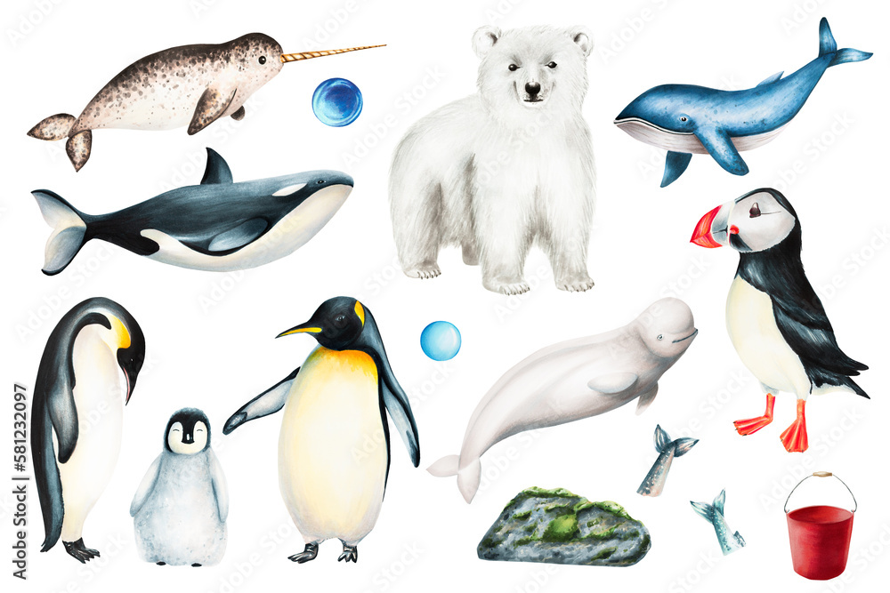 Obraz premium Watercolor set of animals of the Arctic and Antarctic isolated on white background. Hand painted realistic ocean mammal includes king penguin family, narwhal, killer whale, beluga whale, blue whale