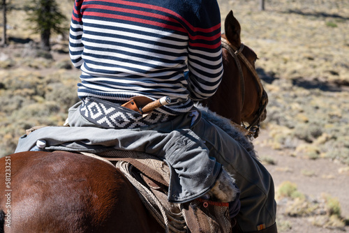Gaucho on horseback in Patagonia, Argentina