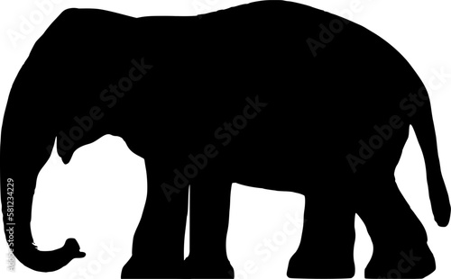 Silhouette: Indischer Elefant von der Seite