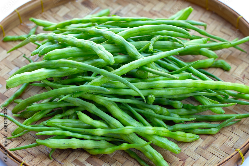 Rat-tailed radish. Fresh organic vegetables Rat-tailed radish. Fresh organic vegetables