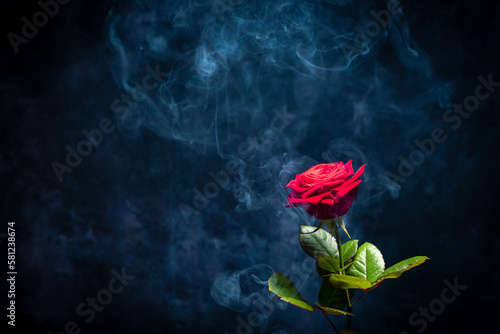 Fototapeta Naklejka Na Ścianę i Meble -  A rose in clouds of smoke