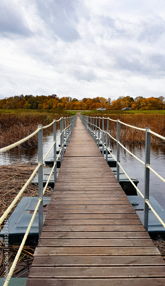 bridge, pedestrian bridge across the river Latvian natural scenery