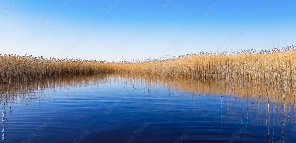 Latvian natural scenery, lake and reeds Latvian natural scenery, lake and reeds