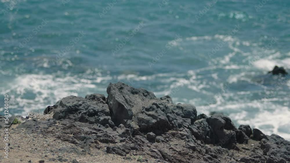 Rocky shore in the ocean. Rocky shore in the ocean.