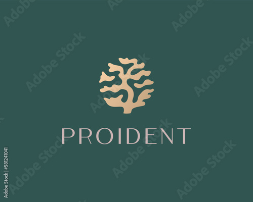 Creative tree logo. Universal garden icon. Park forest sign. Bonsai symbol. Premium logotype. Vector illustration.