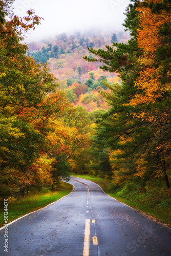 Foggy road scene in Virginia's Blue Ridge Parkway